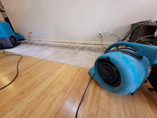 Professional Basement Flood Cleanup technician working in Lewisville, OH